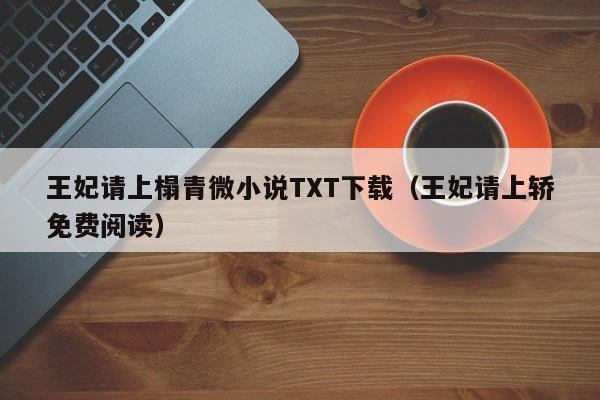 王妃请上榻青微小说TXT下载（王妃请上轿免费阅读）