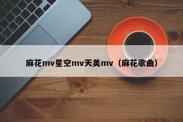 麻花mv星空mv天美mv（麻花歌曲）
