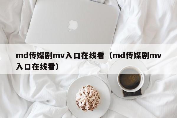 md传媒剧mv入口在线看（md传媒剧mv入口在线看）