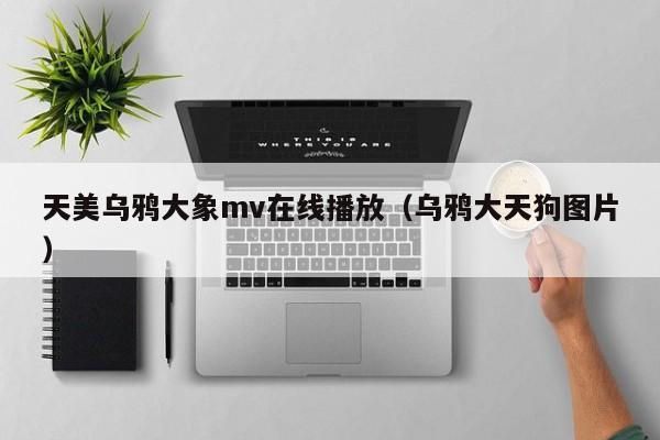 天美乌鸦大象mv在线播放（乌鸦大天狗图片）