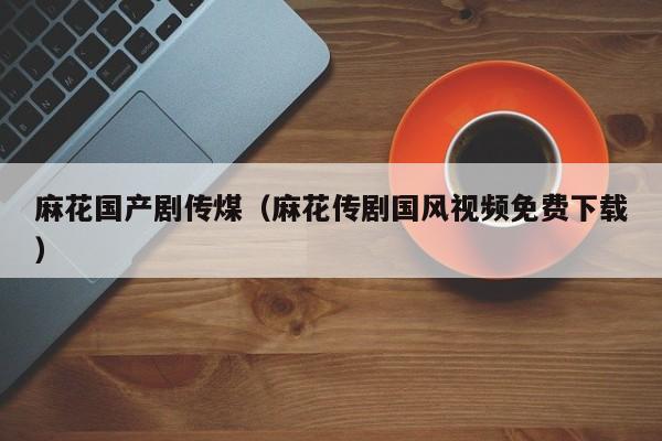 麻花国产剧传煤（麻花传剧国风视频免费下载）